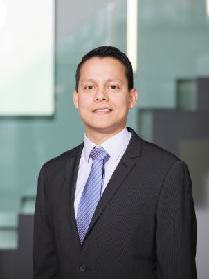 Miguel Eduardo Rodriguez Vazquez - Consultor