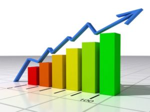 profesionales de auditoria, asesoria y consultoria